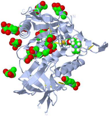 Image Biological Unit 1