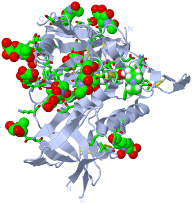 Image Biol. Unit 1 - sites