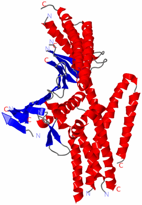 Image Asym./Biol. Unit