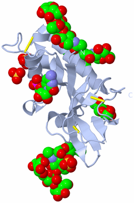 Image Biological Unit 1