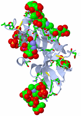 Image Biol. Unit 1 - sites