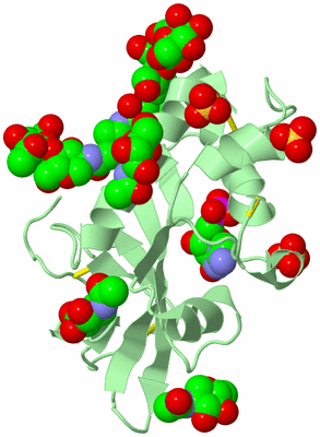 Image Biological Unit 2