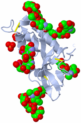 Image Biological Unit 1