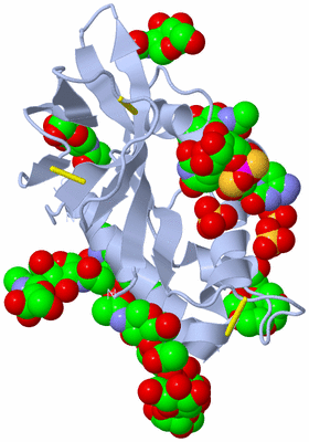 Image Biological Unit 1