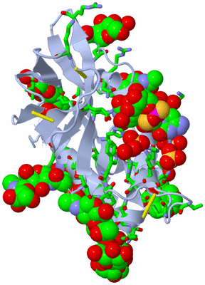 Image Biol. Unit 1 - sites