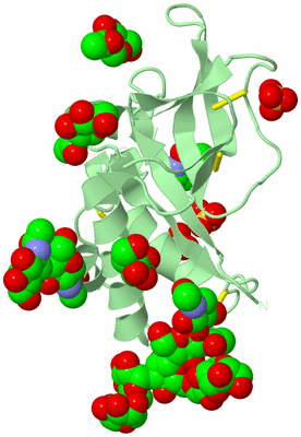 Image Biological Unit 2