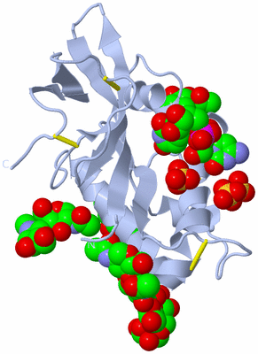 Image Biological Unit 1