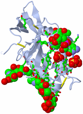 Image Biol. Unit 1 - sites