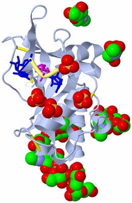 Image Biological Unit 1