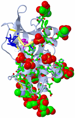 Image Biol. Unit 1 - sites