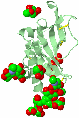 Image Biological Unit 2