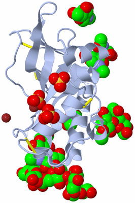 Image Biological Unit 1