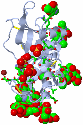 Image Biol. Unit 1 - sites