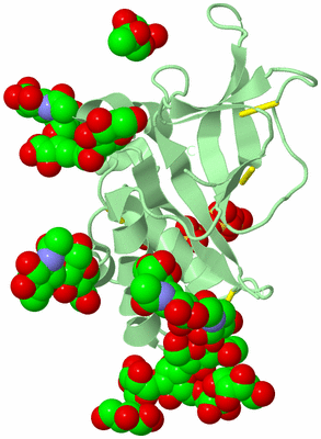 Image Biological Unit 2