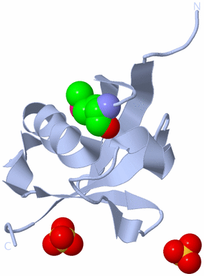 Image Biological Unit 1