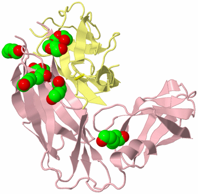 Image Biological Unit 2