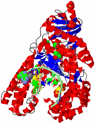 Image Asym./Biol. Unit