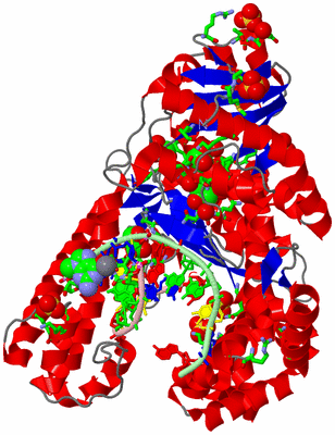 Image Asym./Biol. Unit - sites