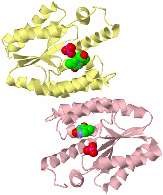 Image Biological Unit 2