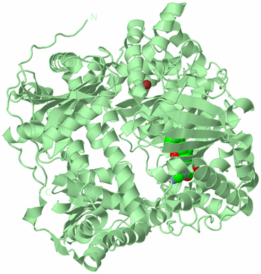 Image Biological Unit 2