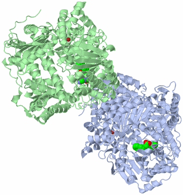 Image Biological Unit 3