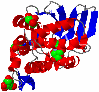 Image Asym./Biol. Unit