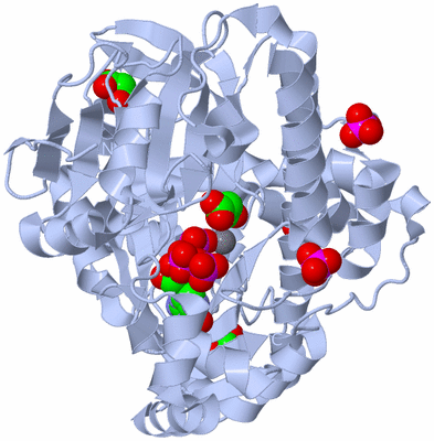 Image Biological Unit 1