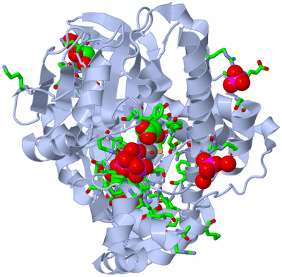 Image Biol. Unit 1 - sites