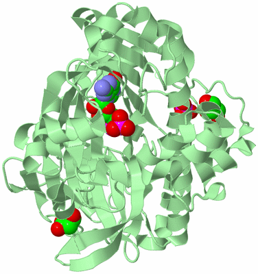 Image Biological Unit 2