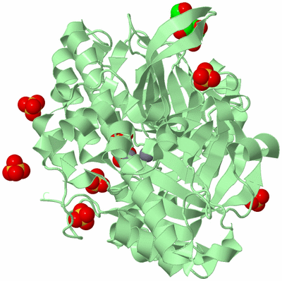 Image Biological Unit 1