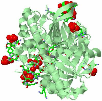 Image Biol. Unit 1 - sites