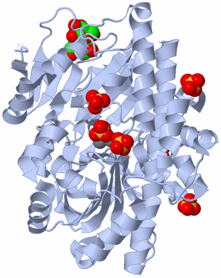 Image Biological Unit 2