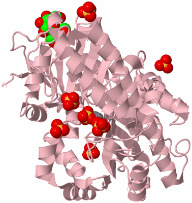 Image Biological Unit 3