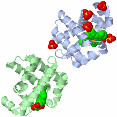 Image Asym./Biol. Unit