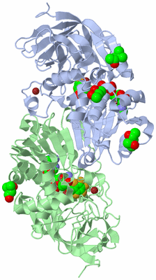 Image Asym./Biol. Unit