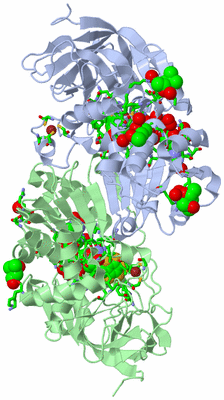 Image Asym./Biol. Unit - sites