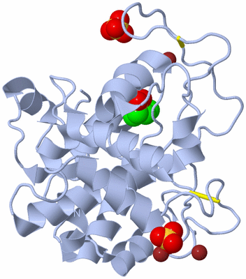 Image Biological Unit 1