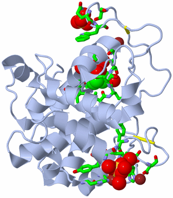 Image Biol. Unit 1 - sites