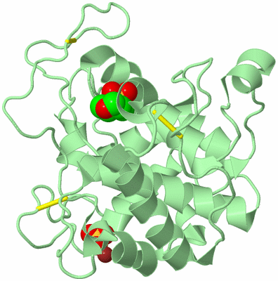 Image Biological Unit 2