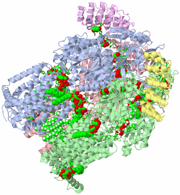 Image Asym./Biol. Unit - sites