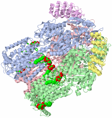 Image Asym./Biol. Unit - sites