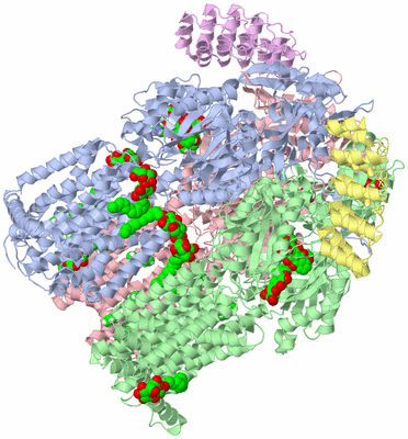 Image Asym./Biol. Unit