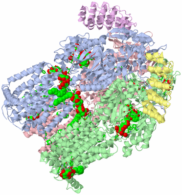 Image Asym./Biol. Unit - sites