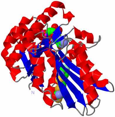 Image Asym./Biol. Unit