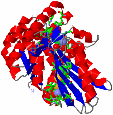 Image Asym./Biol. Unit - sites