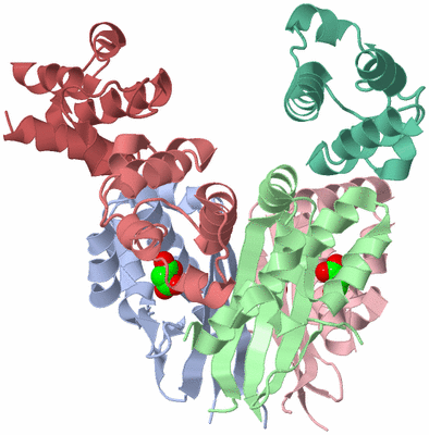 Image Biological Unit 1