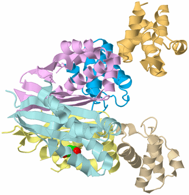 Image Biological Unit 2