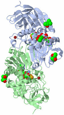 Image Asym./Biol. Unit