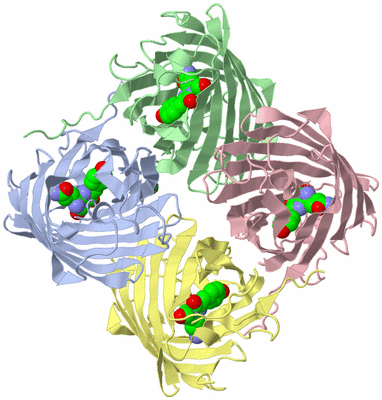 Image Asym./Biol. Unit