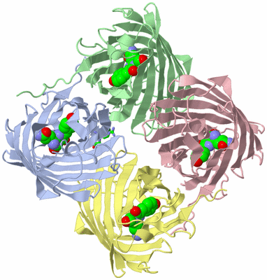 Image Asym./Biol. Unit - sites